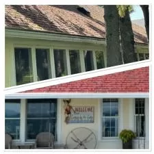 Roof and Gutter Cleaning 0